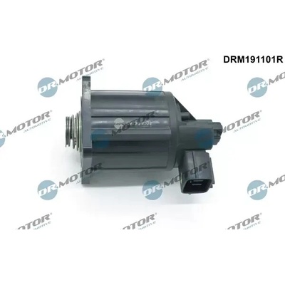 Dr.Motor Automotive AGR ventil DMA DRM191101R