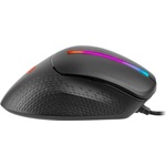 Tracer Gamezone Snail (TRAMYS46766)