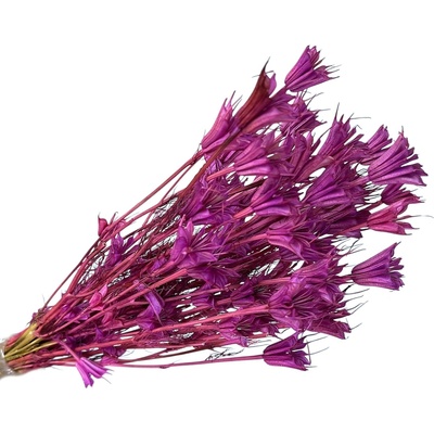 Sušené kvety Černuška - Nigella orientalis 80g - fuchsiové