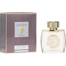Lalique Equus parfumovaná voda pánska 75 ml