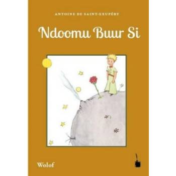 Ndoomu Buur Si
