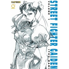 Street Fighter Gaiden, Volume 1 Mami ItouPaperback