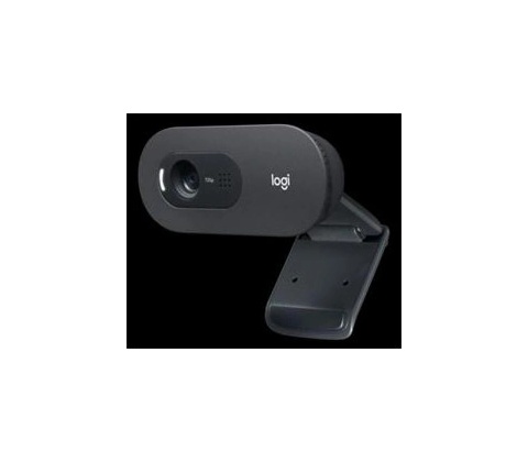 Logitech C505e HD Webcam