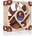 Noctua NF-A8 FLX