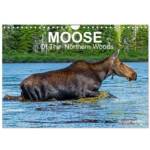 Calvendo MOOSE Of The Northern Woods (Wall Calendar 2027 DIN A4 landscape), CALVENDO 12 Month Wall Calendar | Calvendo, Philippe Henry