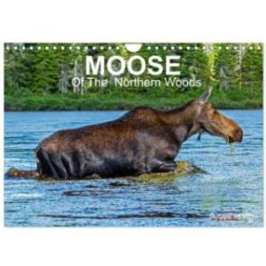 Calvendo MOOSE Of The Northern Woods (Wall Calendar 2027 DIN A4 landscape), CALVENDO 12 Month Wall Calendar | Calvendo, Philippe Henry