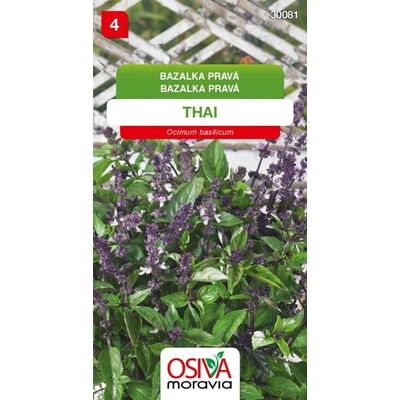 Bazalka pravá - Thai