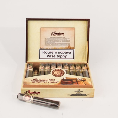 Indian Motorcycle Gordo Maduro