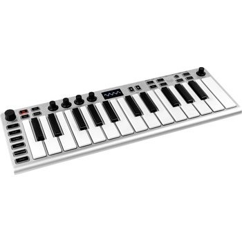 ESI Xsynth Синтезатор (CEGO070)
