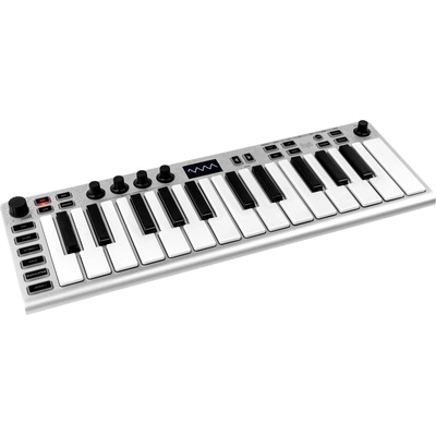 ESI Xsynth Синтезатор (CEGO070)