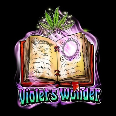 Sumo Seeds Violets Wonder semienka neobsahujú THC 3 ks