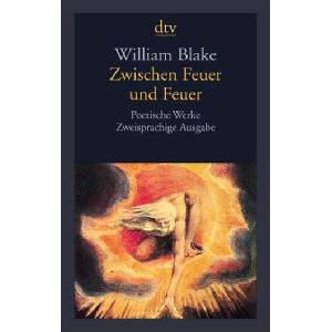 Zwischen Feuer und Feuer (ISBN: 9783423135993)