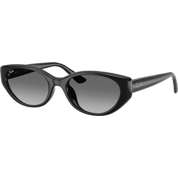 Ray-Ban rb4457d 667711 (rb4457d 667711)