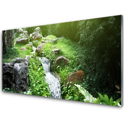 Obraz na skle Potom Trávy Příroda 100x50 cm