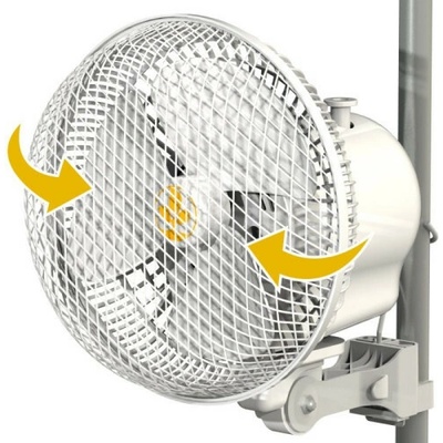 Secret Jardin Monkey Fan 20W 21 cm