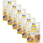 Brit Care MINI Заек и Сьомга 6 x 85 г