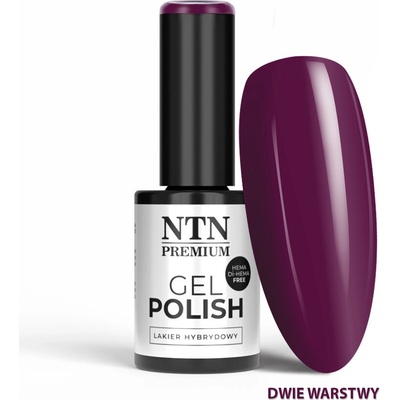 Ntn Premium gél lak purples 550 5 g