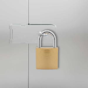 vidaXL U Lock с ключове 6 бр. Месинг Желязо (42021911)