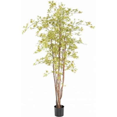 ARALIA PE STROM UV, 210cm