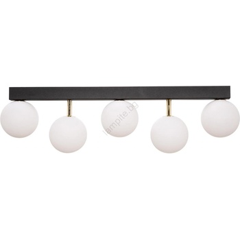 Zuma Line Ali 5643 (003064-024510)