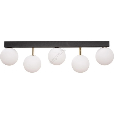 Zuma Line Ali 5643 (003064-024510)