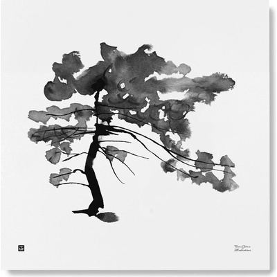 Plagát Pine Tree 50x50
