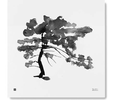 Plagát Pine Tree 50x50
