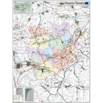 Image 1 of Червен дамаска Force Black директорски стол