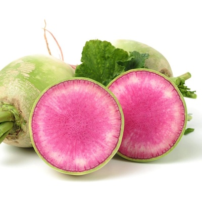 Reďkev siata Red Meat - Raphanus sativus - predaj semien - 80 ks