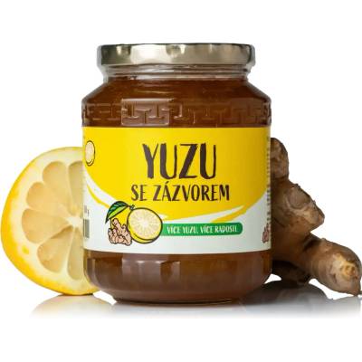 NaturalProtein YUZU se zázvorem 580 g