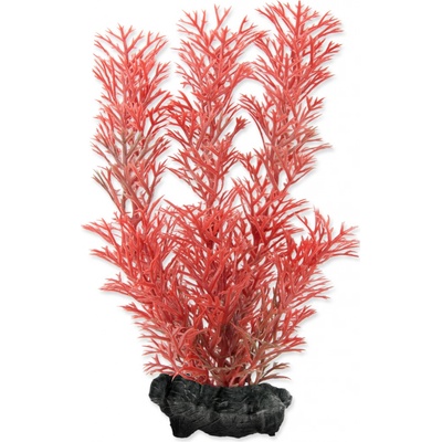 Tetra Myriophyllum heterophyllum Red Foxtail 15 cm
