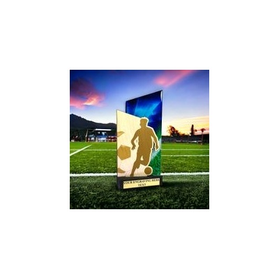 Poháry Bauer Dřevěná plaketa WPLA402 Fotbal