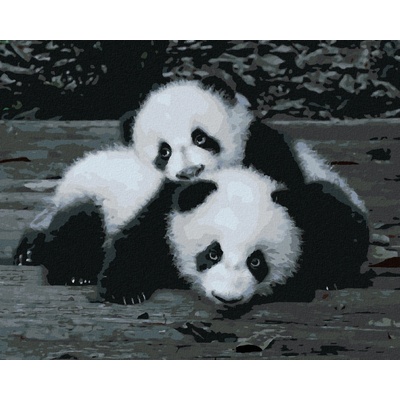 Zuty Malování podle čísel PANDY V ZOO