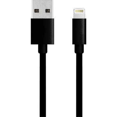 Winner Group 6666 USB USB-A Lightning 2m černý