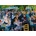 Enjoy - Puzzle Auguste Renoir: Dance at Le Moulin de la Galette - 1 000 piese