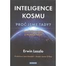 Inteligence kosmu