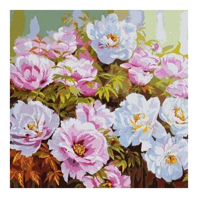 Ideyka Ideyka: Живопис по номера, Рози от Петдесетница - 50 x 50 cm