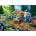 Schmidt Spiele - Puzzle Haynie: Caravaning in the Mountains - 1 000 piese