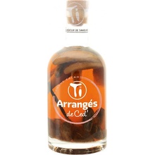 Ti Rhum Arrangés Banana Cocoa 32% 0,35 l (holá láhev)
