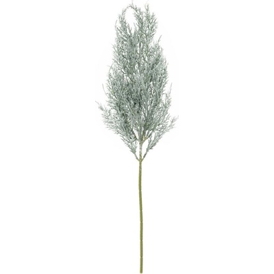 KONÁR TUJA ZELENO-BIELA 64CM