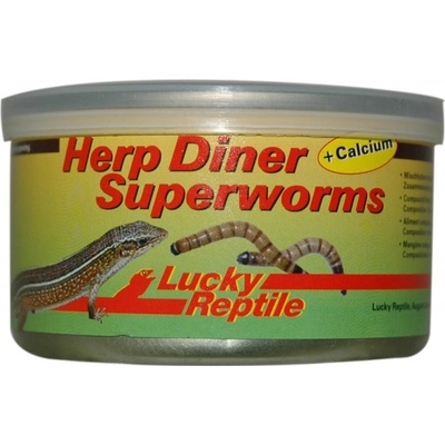 Lucky Reptile Herp Diner Superworms 35 g