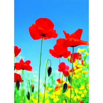 W+G 371 Papírová 4 dílná fototapeta Poppy Field, rozměry 183 x 254 cm