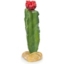 GiganTerra Umělý kaktus Red 8x8x21 cm