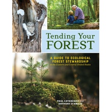 Tending Your Forest