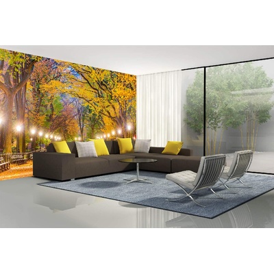 DIMEX ART Самозалепваща се флизелинова фототапета сентръл парк през есента 375 x 250 см