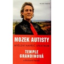 Mozek autisty