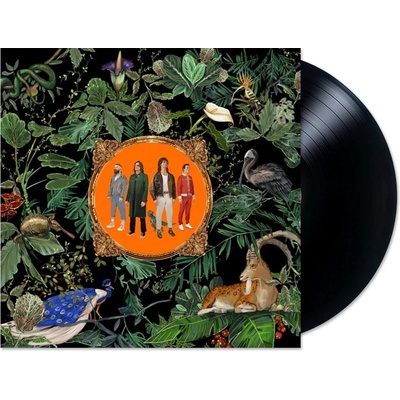 Don Broco - Amazing Things Vinyl LP