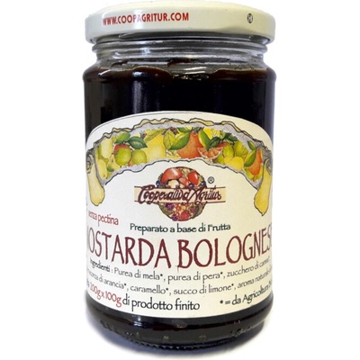 Agritur Mostarda Bolognese Top Bio 350 g