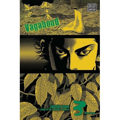 Vagabond, Vol. 3 VIZBIG Edition