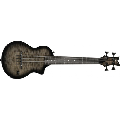 Ortega Neo Tenor